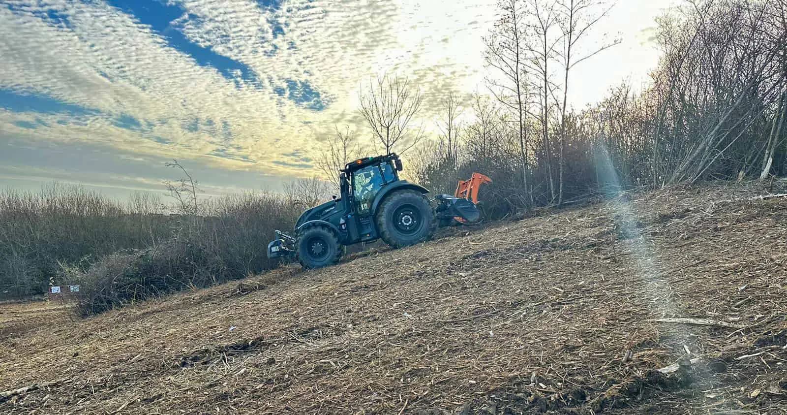 Vegetation Clearance