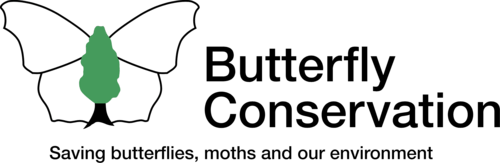 logo2